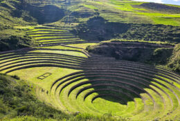 Peru_and_Bolivia_2025 (65/66)